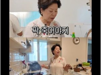 선우용여 죽음에 대한 확고한 생각 공유