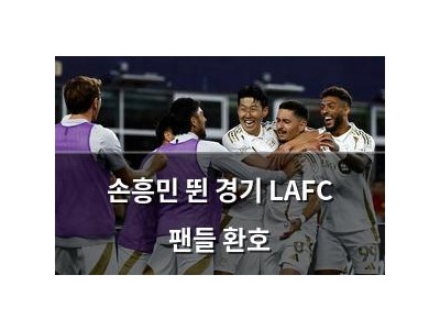손흥민 뛴 경기 LAFC 팬들 환호